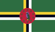 dm-flag